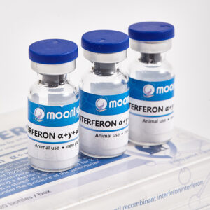 Recombinant CompoundInterferon for injection